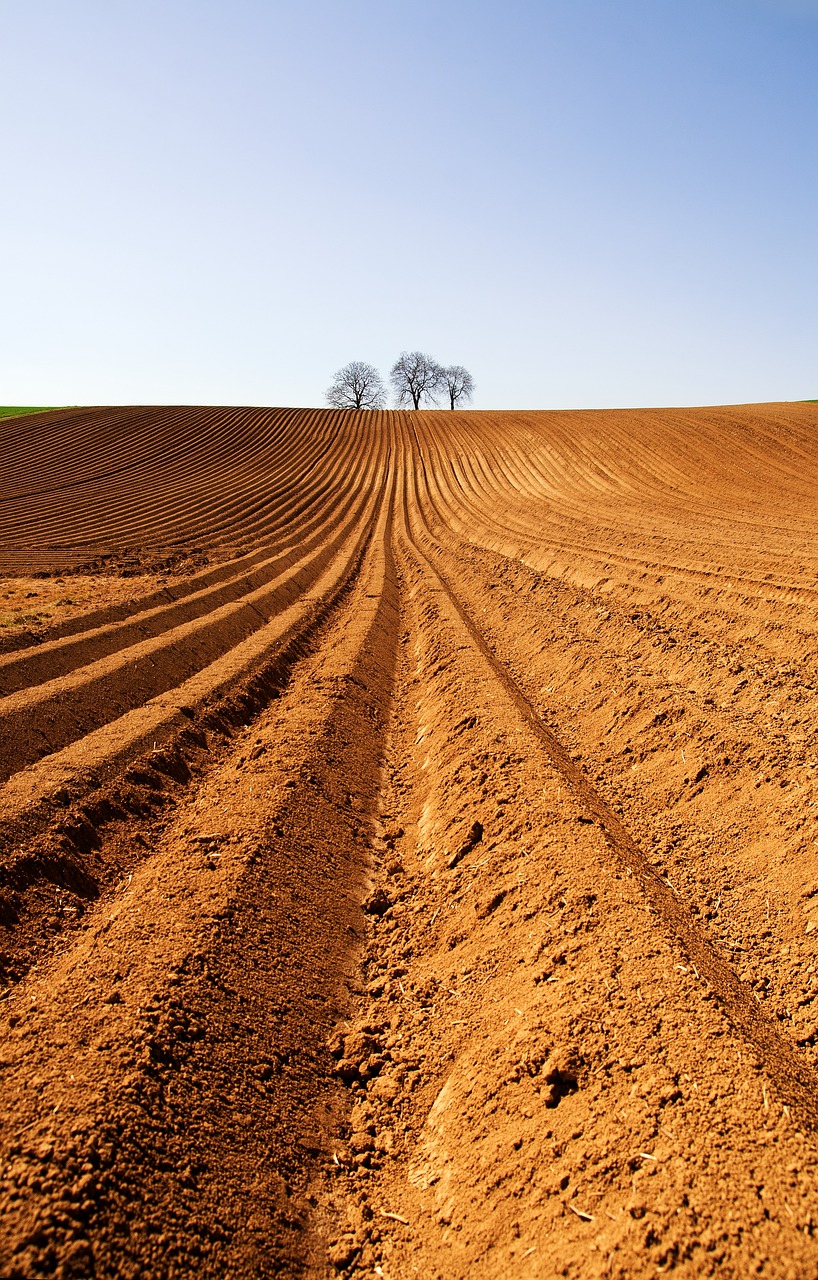 fields, agriculture, field-1196418.jpg