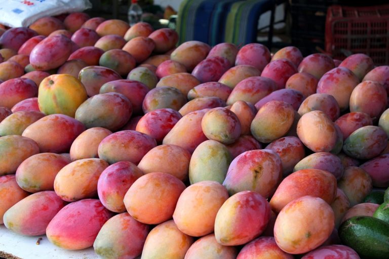 mangoes, spain, andalusia-354062.jpg